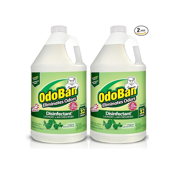 2 Bottles Of OdoBan Eucalyptus Scent Disinfectant Concentrate