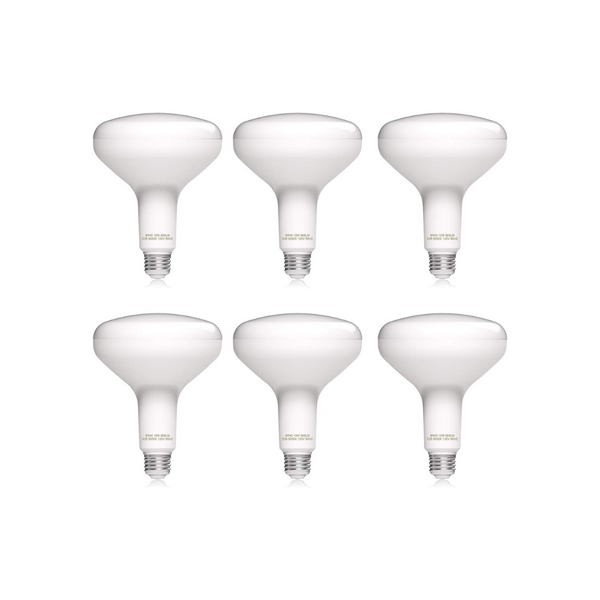 6 LED Flood Light Bulbs