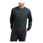 Champion Men's Sweatshirts