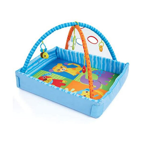 Bruin 2 in 1 Playgym