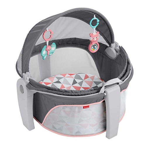 Fisher-Price On-the-Go Baby Dome, Rosy Windmill