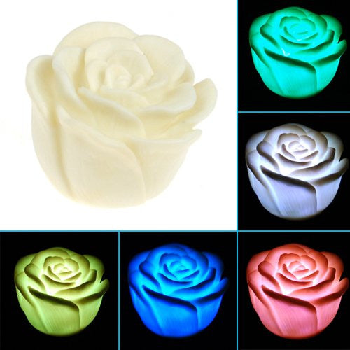 7 color changing rose
