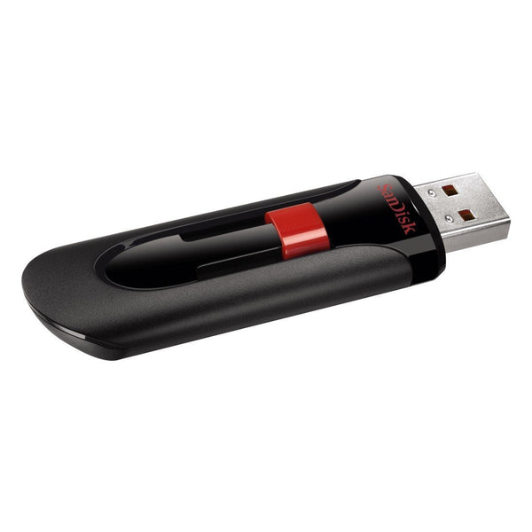 128GB SanDisk flash drive
