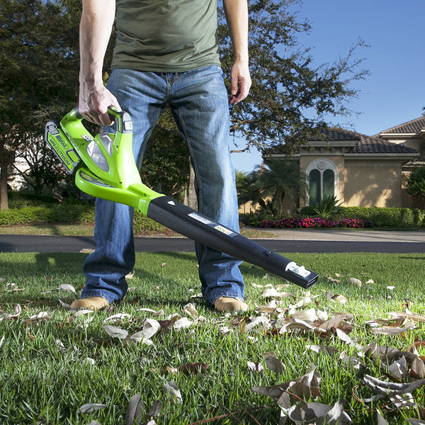 GreenWorks 150 MPH cordless blower