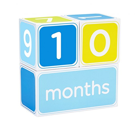 Pearhead Baby Age Photo Sharing Blocks