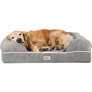 Save up to 50% on Friends Forever Dog & Cat Products