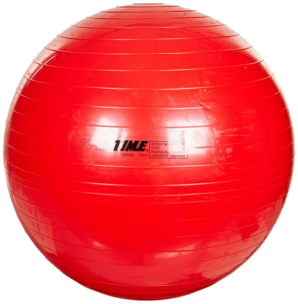 Therapy and Exercise Ball
