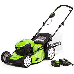 Save up to 32% on Greenworks Elite Lawn Tools