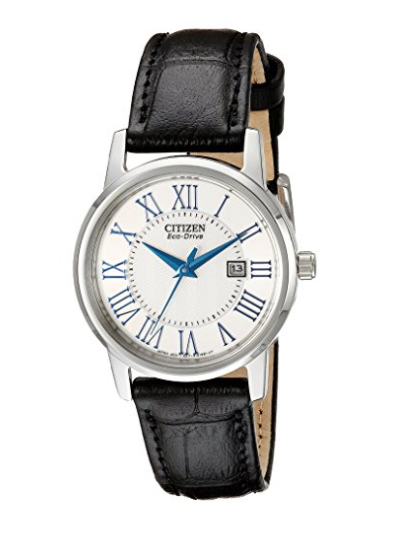 Citizen Eco-Drive stainless steel watch with leather band