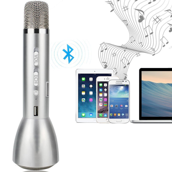 Portable karaoke player with Bluetooth speaker
