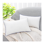 Set of 2 Pillows - Soft and Durable White