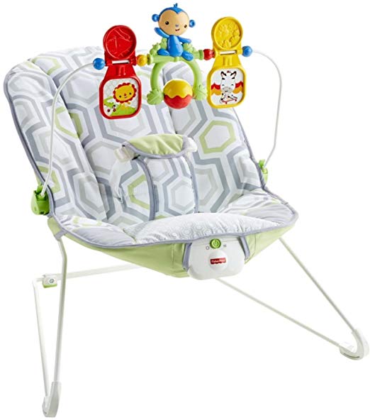 Fisher-Price Baby's Bouncer (Geo Meadow)