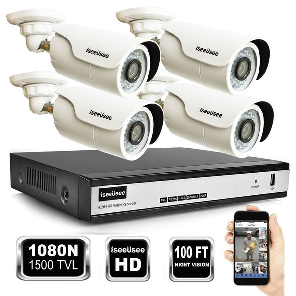 Security surveillance system