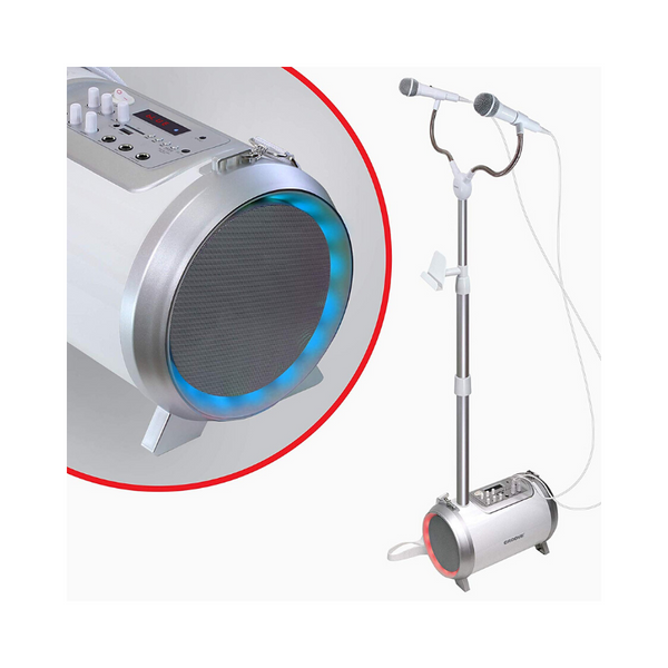 Karaoke Machine for Adults and Kids with 2 Microphones