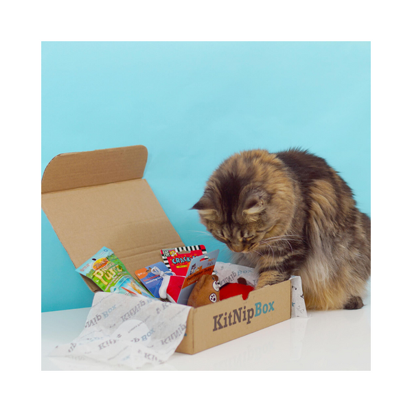 KitNipBox - Monthly Cat Subscription Box of Cat Toys