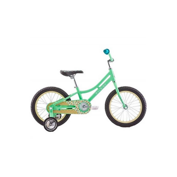 Raleigh and Redline Bikes On Sale