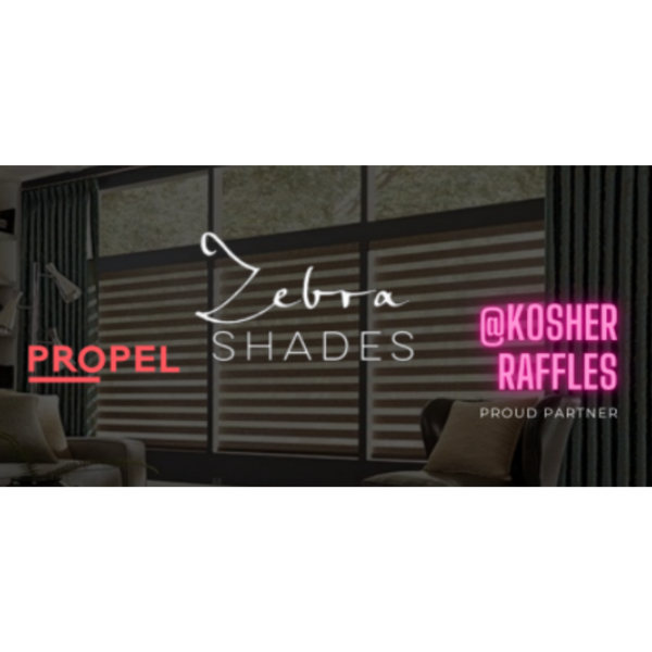 Patrocinado: ¡Compre un boleto para ayudar a Propel Network y participe para ganar un cambio de imagen en su hogar con cortinas de cebra!