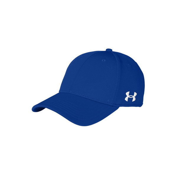 Under Armour Solid Curved Cap (6 Colors)