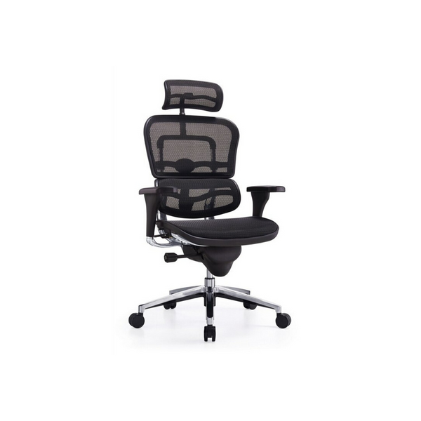 Ergospine Task Chair in Black Mesh Seat and Back