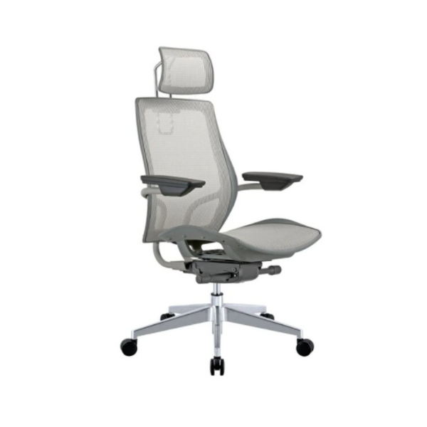 Humanspine Office Chair (2 Colors)