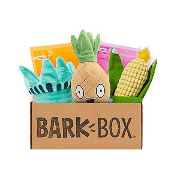 BarkBox Monthly Subscription Box | Dog Chew Toys