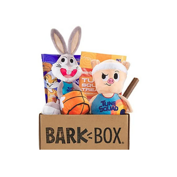 Caja de suscripción mensual BarkBox, juguetes para masticar para perros