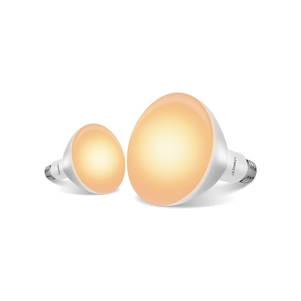 2 bombillas LED empotrables regulables.
