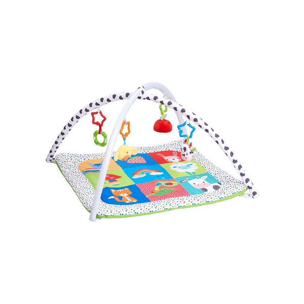 Early Learning Centre Blossom Farm Playmat & Arch