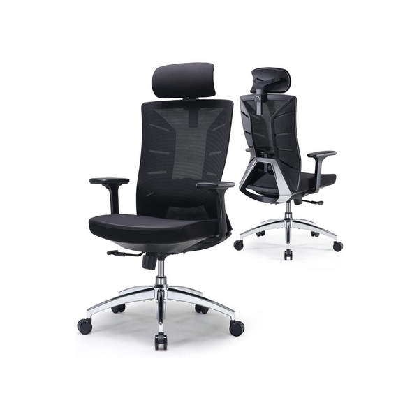 Tribesigns Ergonomic Mesh Office Chair