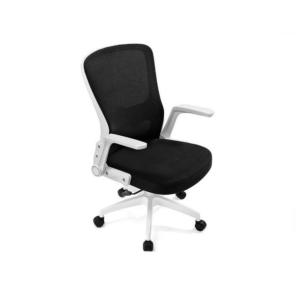 Ergonomic Modern Executive Office Chair