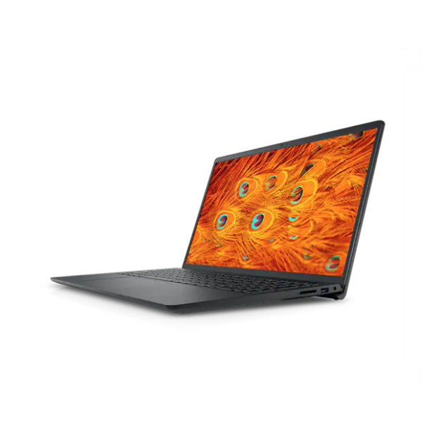Portátil Inspiron 15 3000