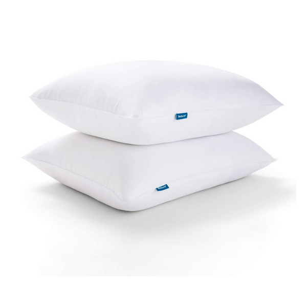 Set of 2 Queen Size Bedsure Pillows