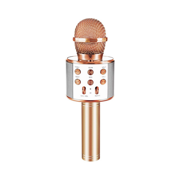 Bluetooth Portable Karaoke Microphone