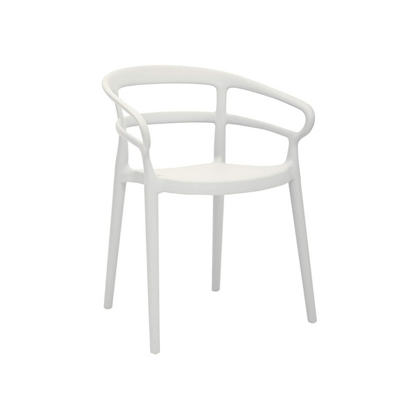 Curved Back Dining Chair-Set of 2, Premium Plastic