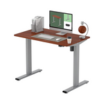 Flexispot Height Adjustable Electric Standing Desk
