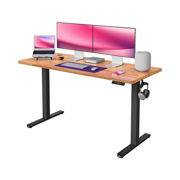 55" x 24" FEZIBO Dual Motor Adjustable Electric