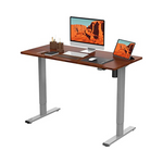 FLEXISPOT EG1 Height Adjustable Electric Standing Desk