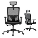 Ergonomic Office Chair With Lumbar Support And Adjustable Headrest
