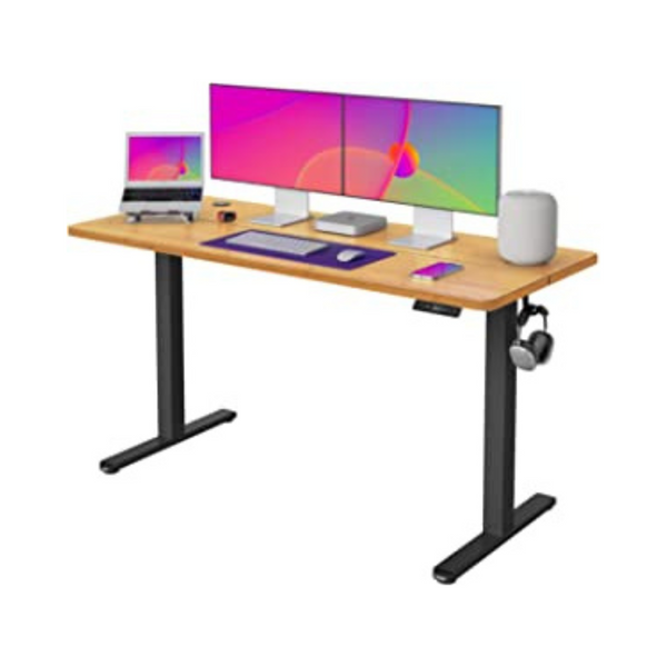 55" Fezibo Adjustable Height Electric Standing Desk