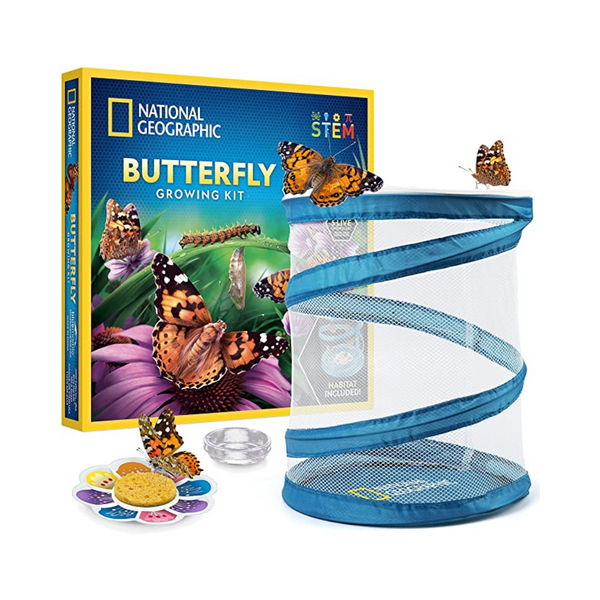 National Geographic Butterfly Growing Kit PzDeals