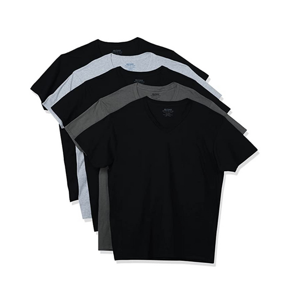 5 Gildan Men's V-neck T-shirts, (Size Small)