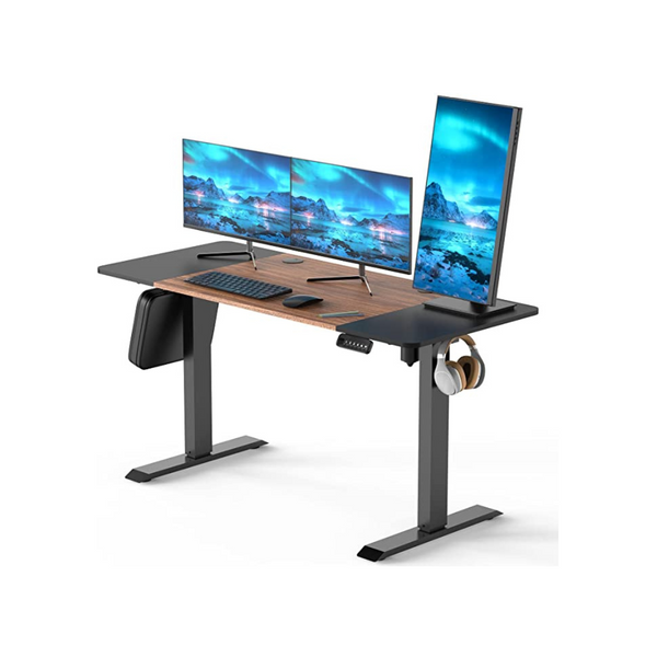 HappYard Height Adjustable Electric Standing Desk