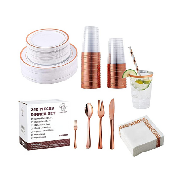 250 Piece Disposable Plastic Dinnerware Set