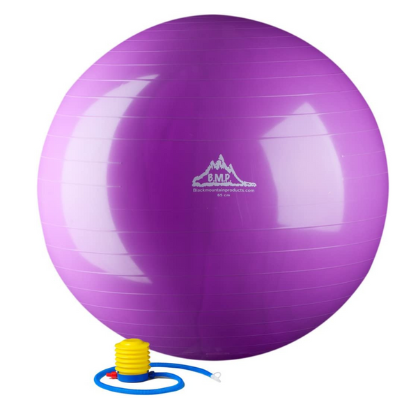 2000lbs Static Strength Exercise Stability Ball with Pump
