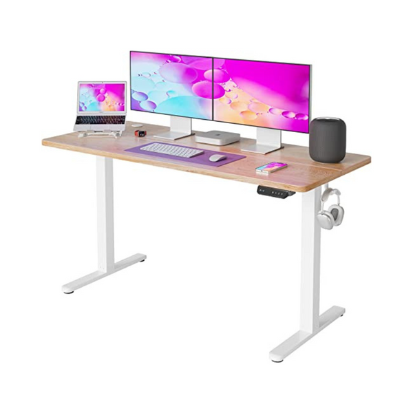 55" Fezibo Adjustable Height Electric Standing Desk