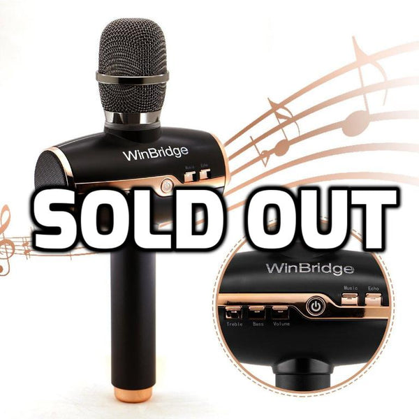 3 in 1 karaoke system