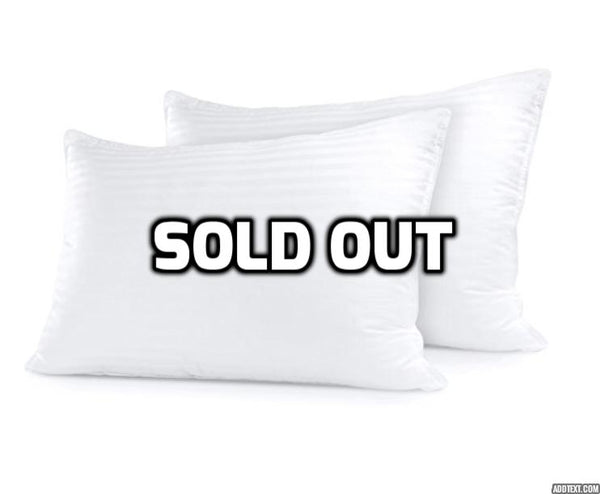 2 super plush pillows